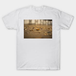 Seashell at Sea T-Shirt